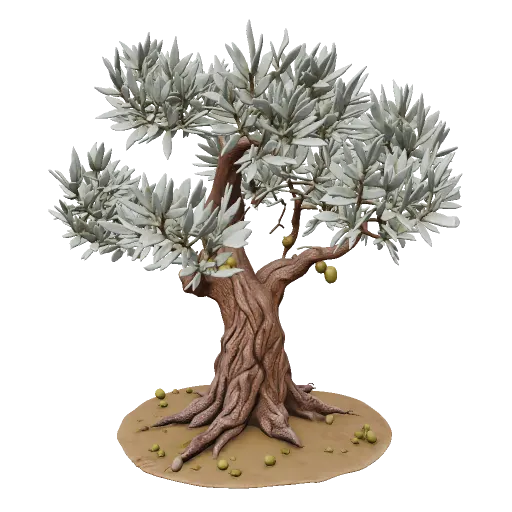 Roman Senate · olive tree
